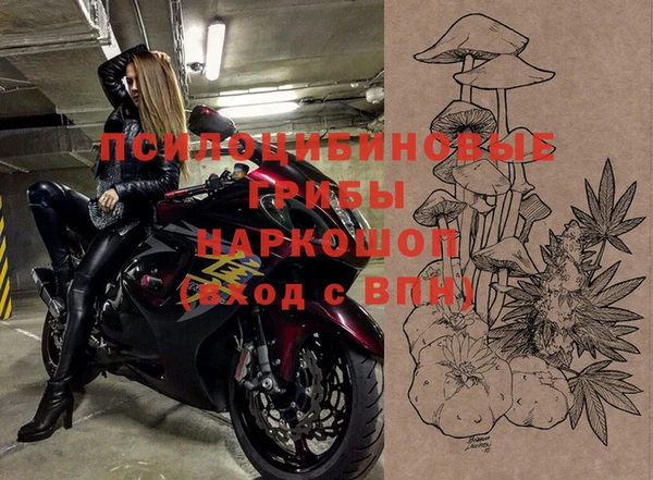 ПСИЛОЦИБИНОВЫЕ ГРИБЫ Абдулино