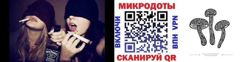 Псилоцибиновые грибы MAGIC MUSHROOMS  где купить   KRAKEN ТОР  Таганрог 